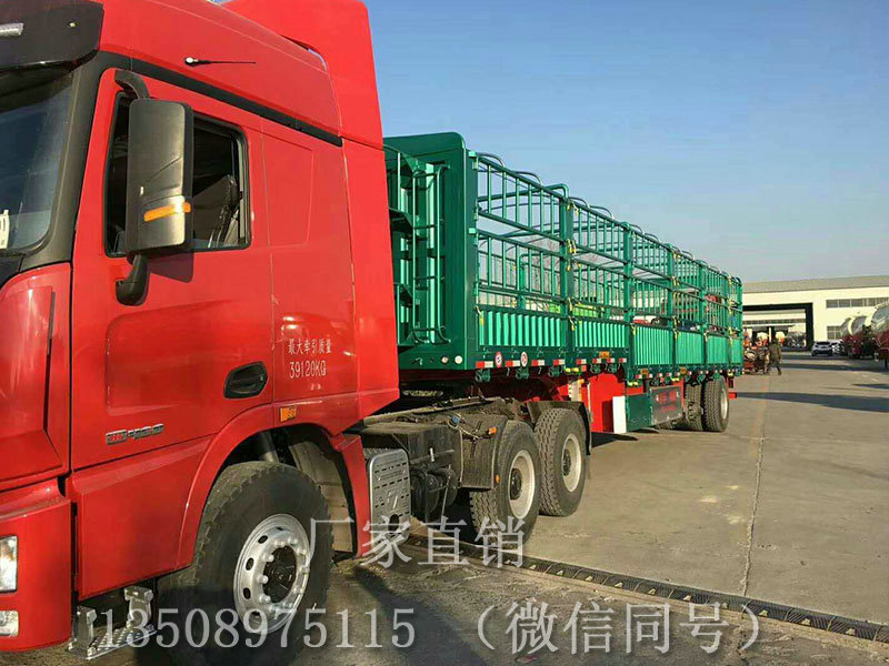 mmexport1522643246978.jpg